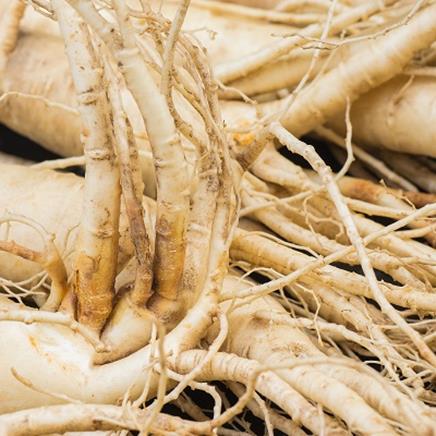 Natural active Ginseng